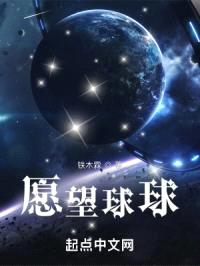 愿望球球封面