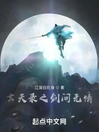 玄天录之剑问无情封面