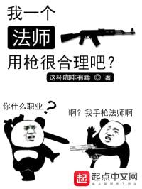 我一个法师用枪很合理吧封面