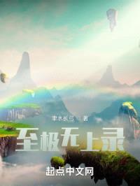 至极无上录封面