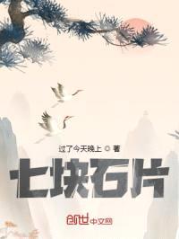 七块石片封面