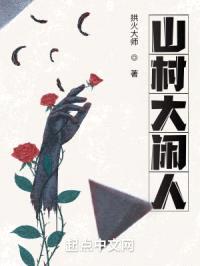 山村大闲人封面