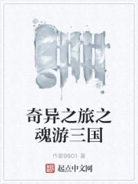 奇异之旅之魂游三国封面