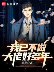 我已不做大佬好多年封面
