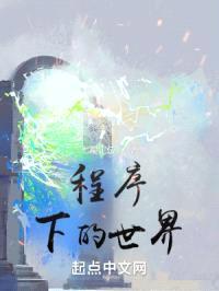 程序下的世界封面