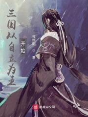 三国从自立为王开始封面