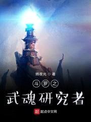 斗罗之武魂研究者封面