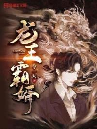 龙王霸婿封面