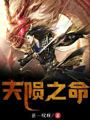 天陨之命封面