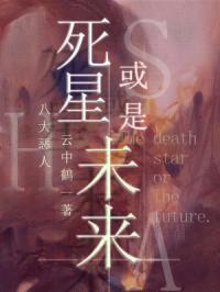 死星或是未来封面
