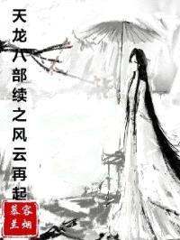 天龙八部续之风云再起封面