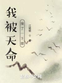 我被天命撞了一下腰封面