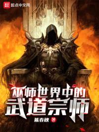巫师世界中的武道宗师封面