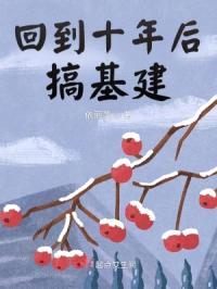 回到十年后搞基建封面