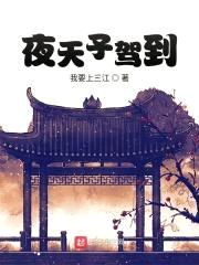 夜天子驾到封面