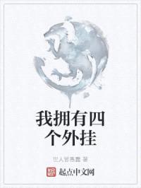我拥有四个外挂封面