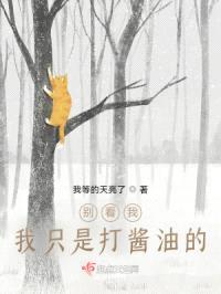 别看我，我只是打酱油的封面