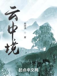 云中境封面