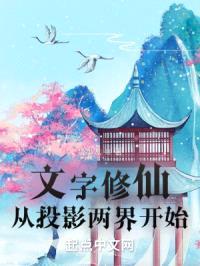 文字修仙从投影两界开始封面