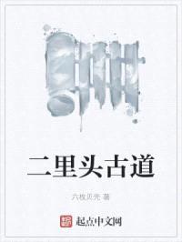 二里头古道封面