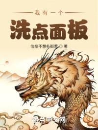 我有一个洗点面板封面