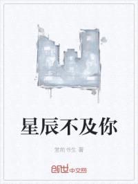 星辰不及你封面