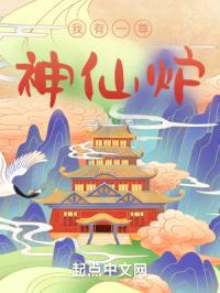 我有一尊神仙炉封面