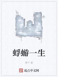 蜉蝣一生封面