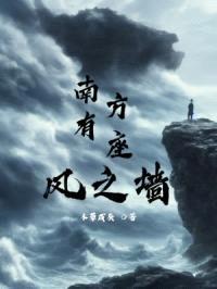 南方有座风之墙封面