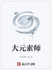 大元素师封面