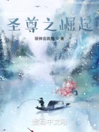 圣尊之崛起封面