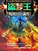 盗梦王封面